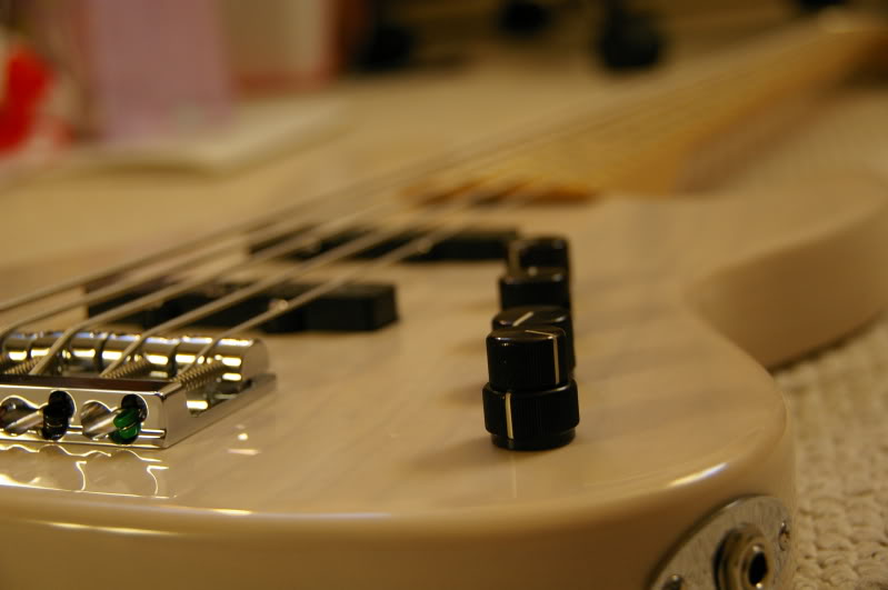 IMGP4764.jpg