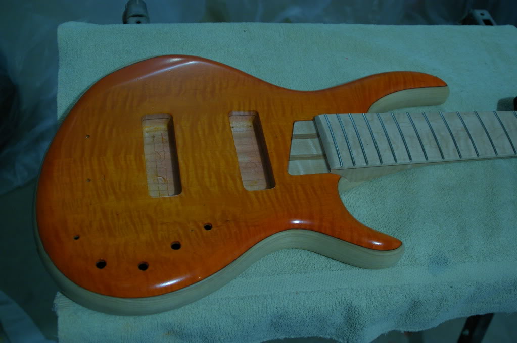 IMGP7249.jpg