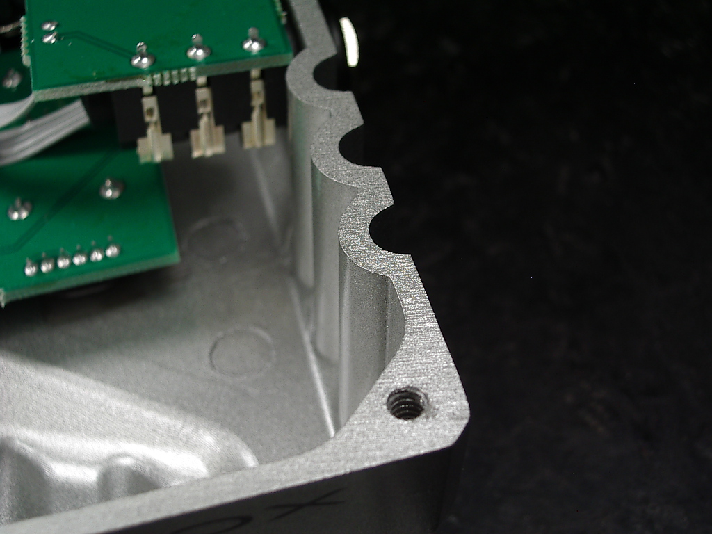 IMGP7267.jpg