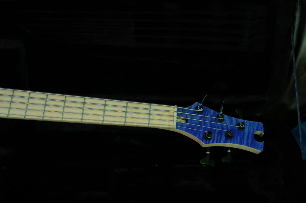 IMGP8440.jpg