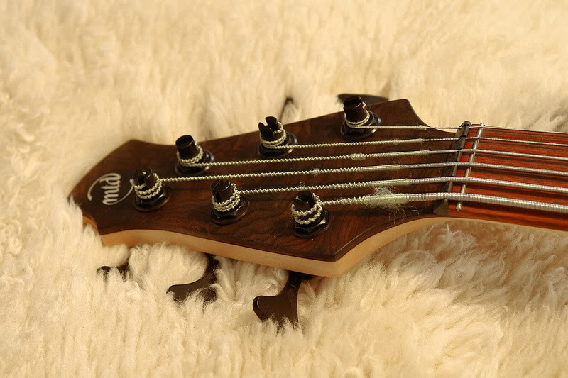 IMGP9613.jpg