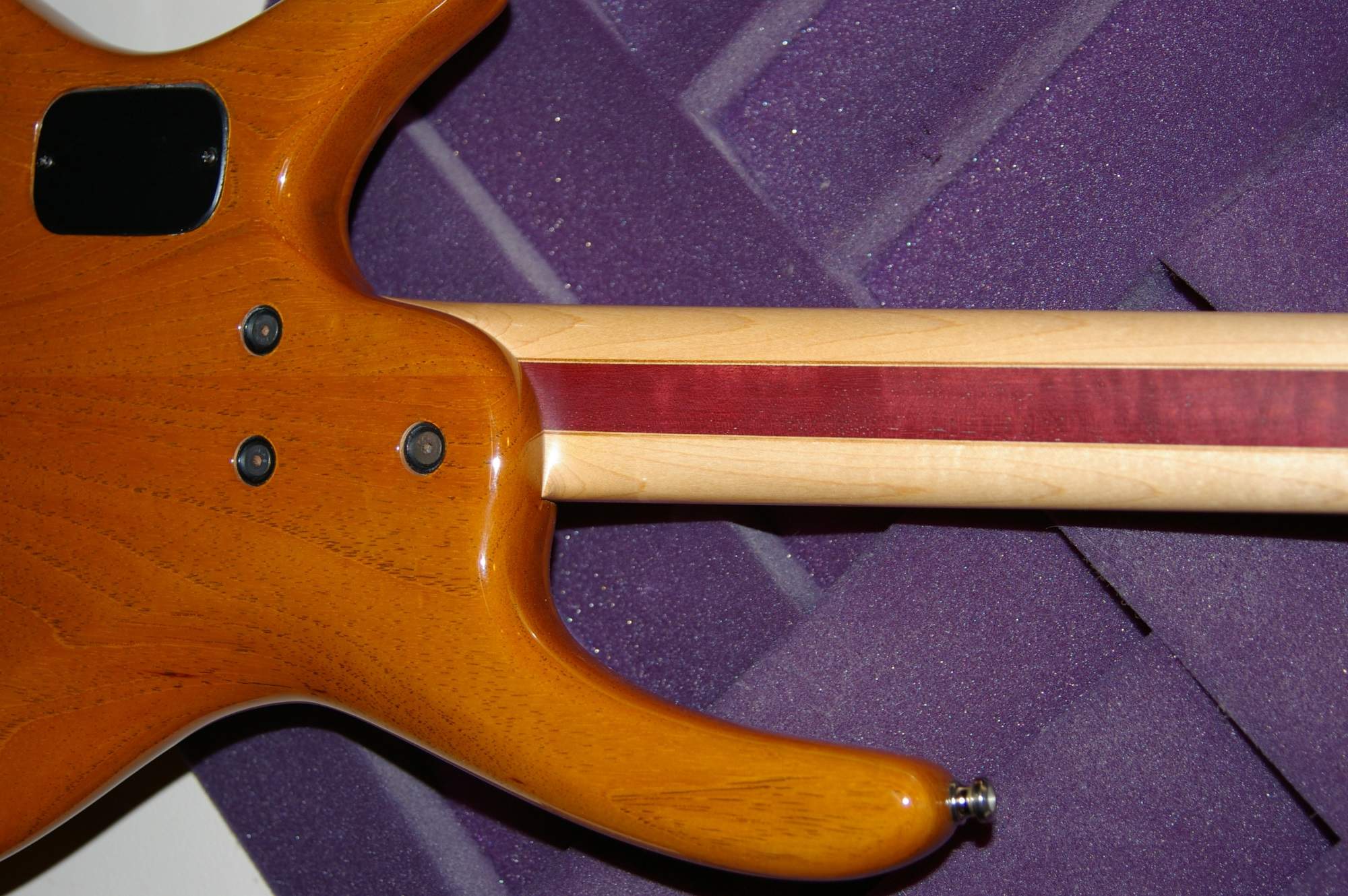 IMGP9732.JPG