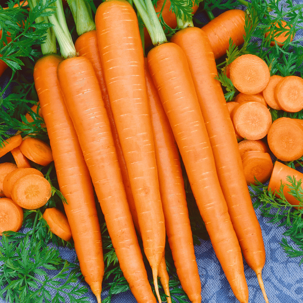 Imperator-58-Carrot-01.gif