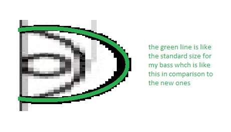 important 2.jpg