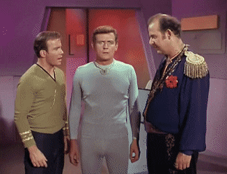 IndolentGiddyHousefly-size_restricted.gif