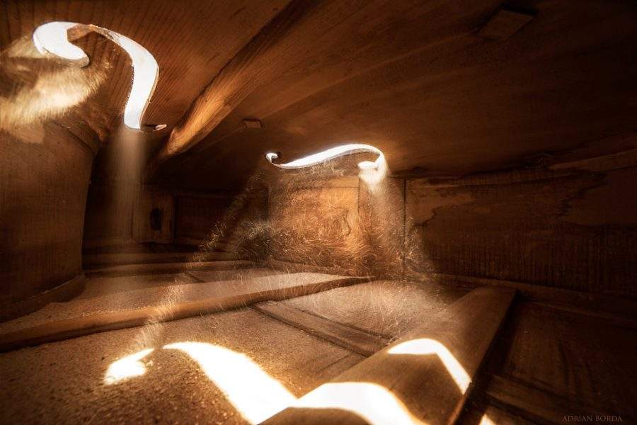 inside_cello_x_1.jpg
