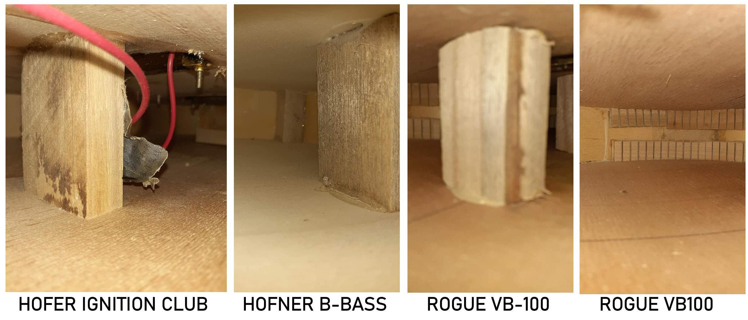 INSIDEBASSES.jpg