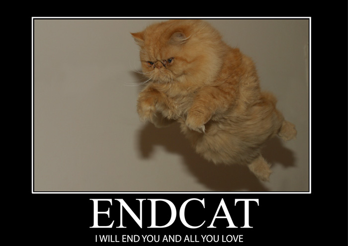 inspirational-end-cat.jpg