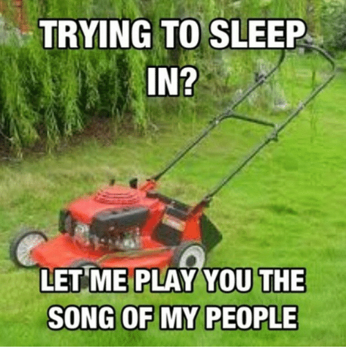 Instagram-c5c344.png