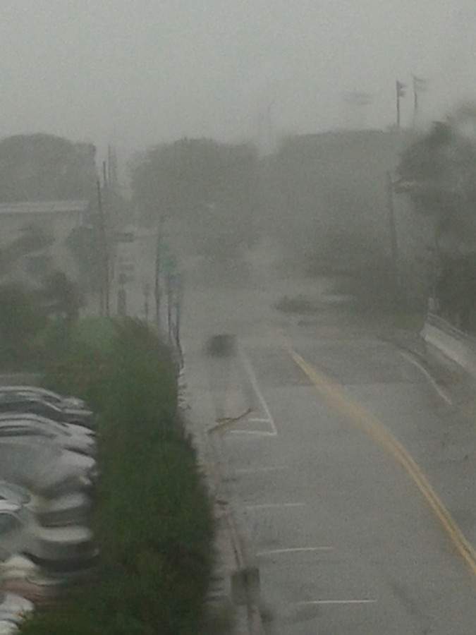 Irma_08.JPG