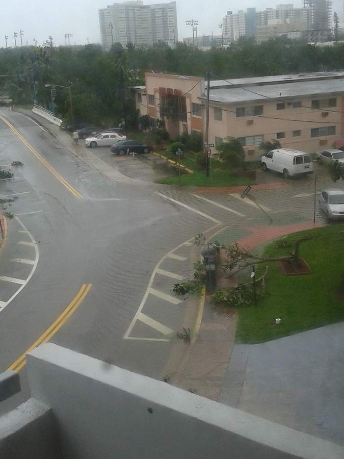 Irma_10.JPG