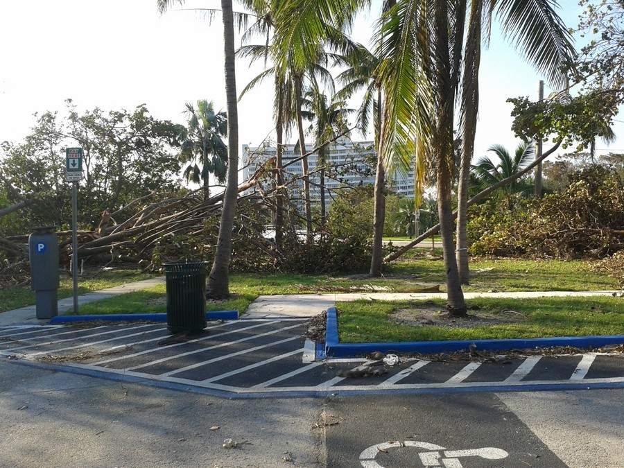 Irma_26.JPG