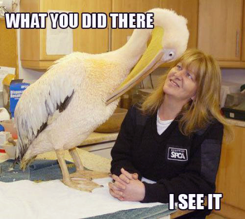 Iseeit.jpg
