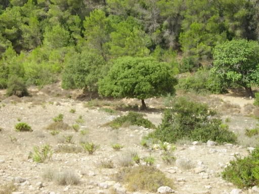 Israel079.jpg
