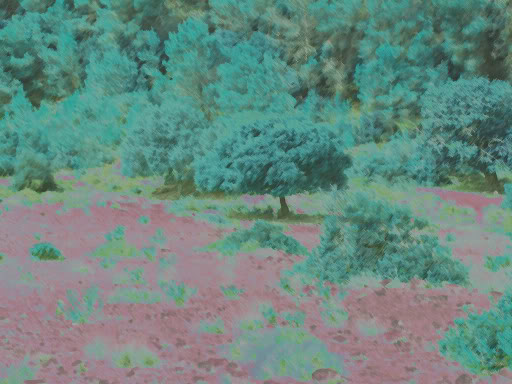 Israel079A.jpg