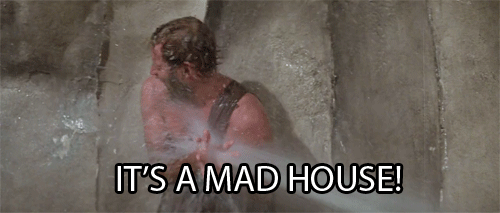 it's a mad house.gif