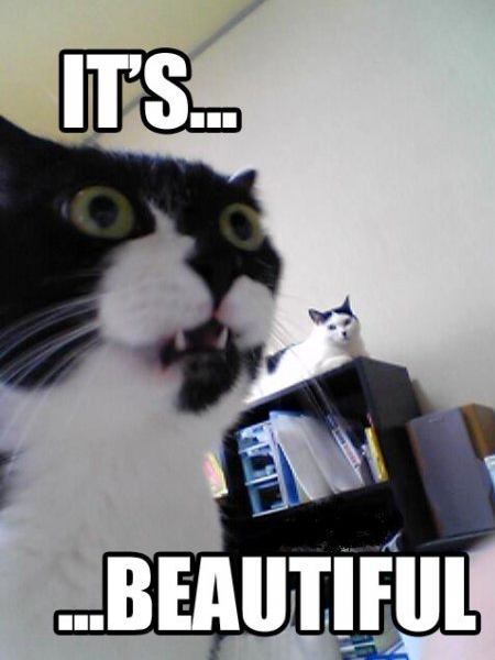 its-beautiful.png