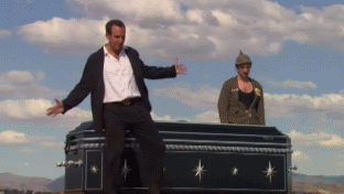 ivibk0.gif
