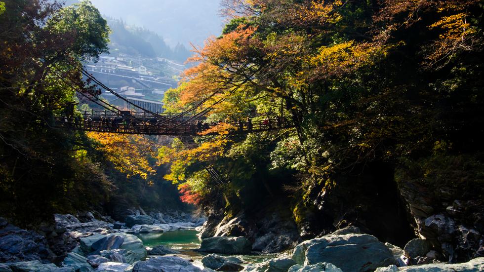 iyavalleyvinebridge10.jpg