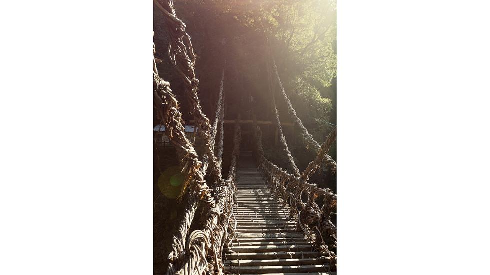 iyavalleyvinebridge5.jpg