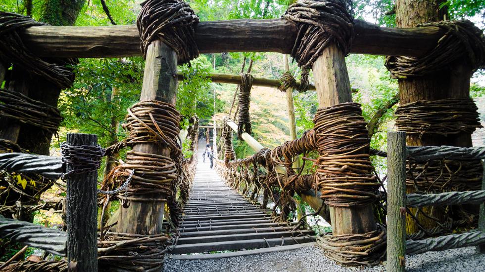iyavalleyvinebridge7.jpg
