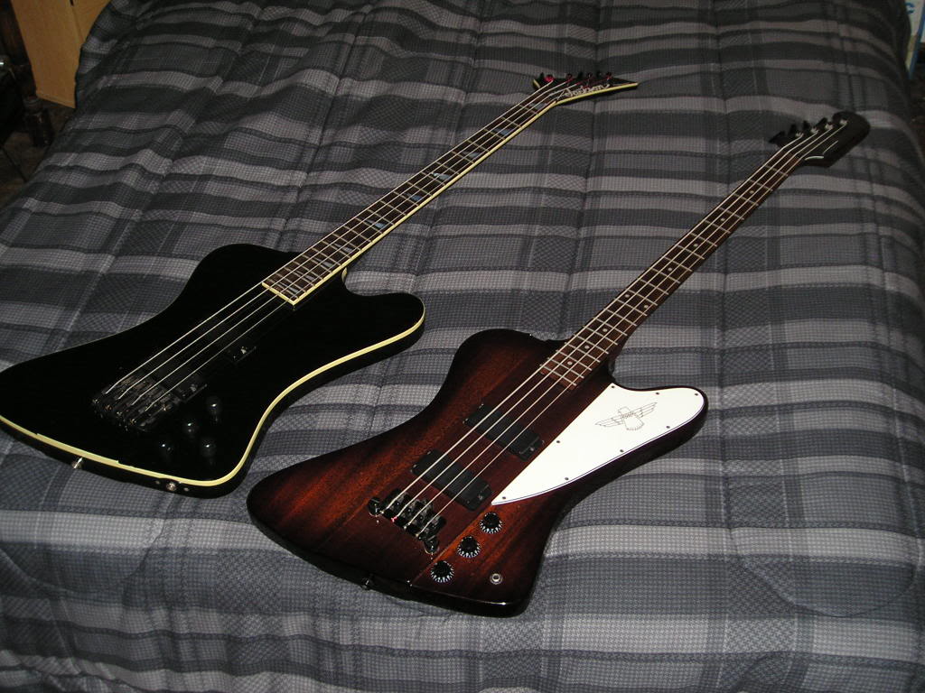 jack-epibirds.jpg