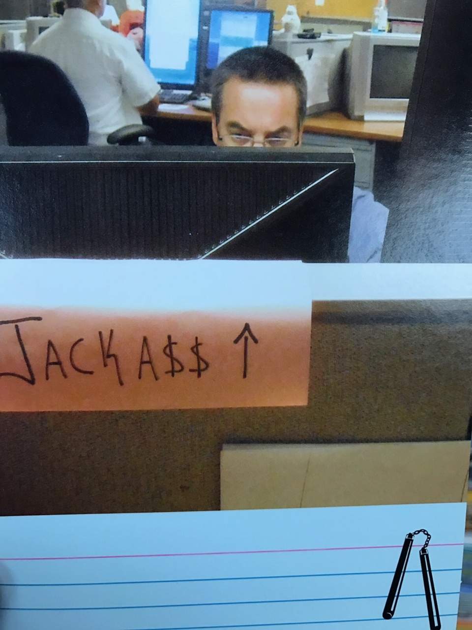 jackass.jpg