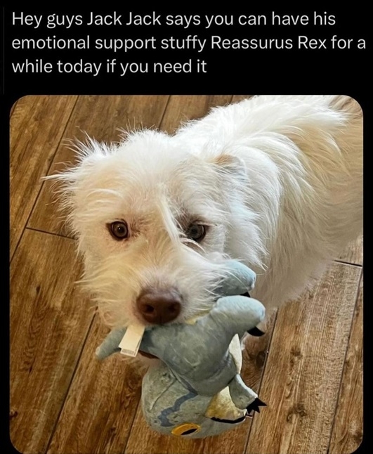 jackjack dog.jpg