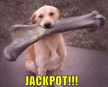 jackpot.jpg