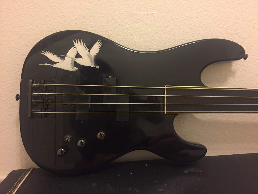 Jackson Fretless 2.jpg