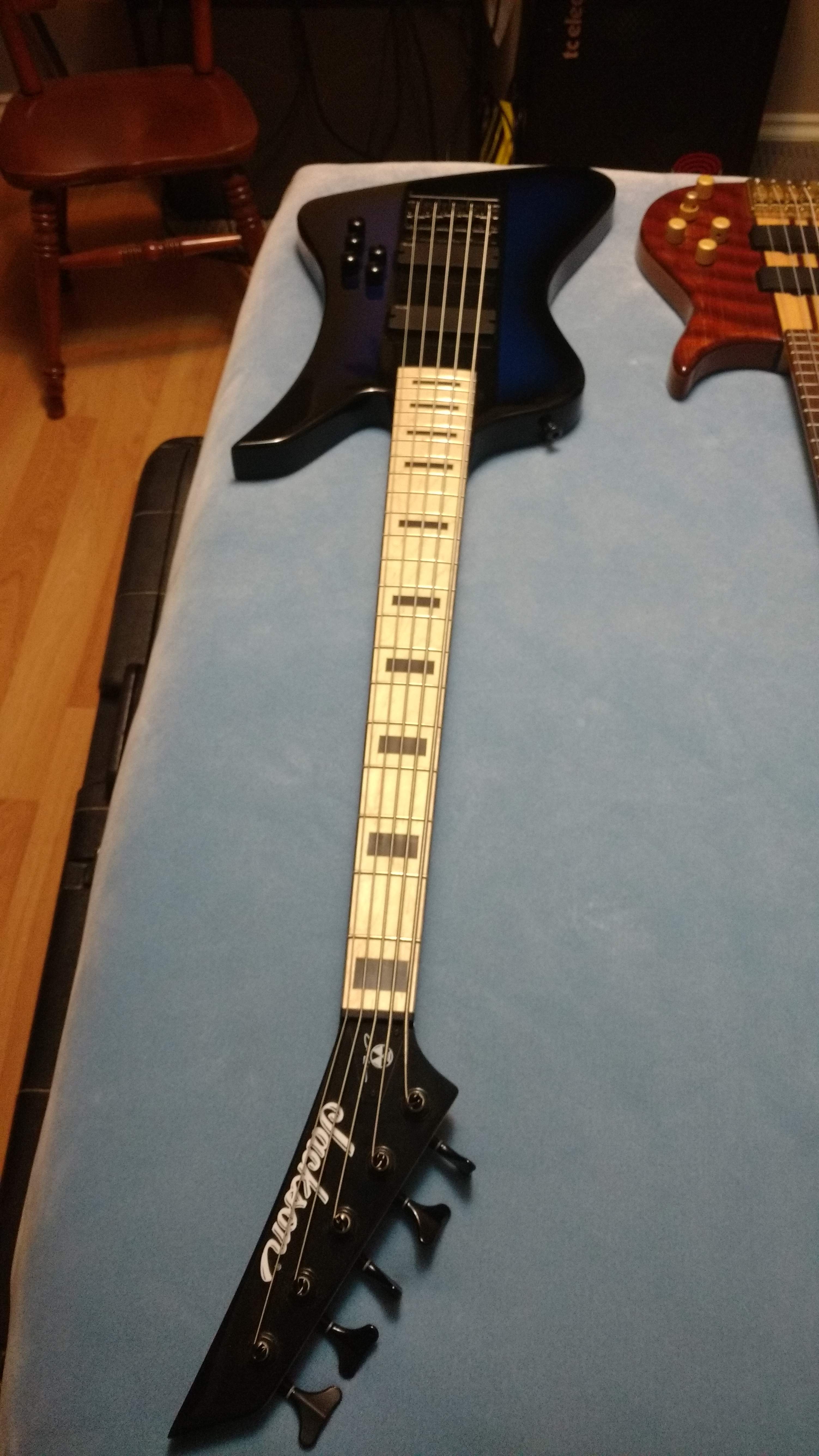 Jackson_Kelly_Bird_V_2.jpg