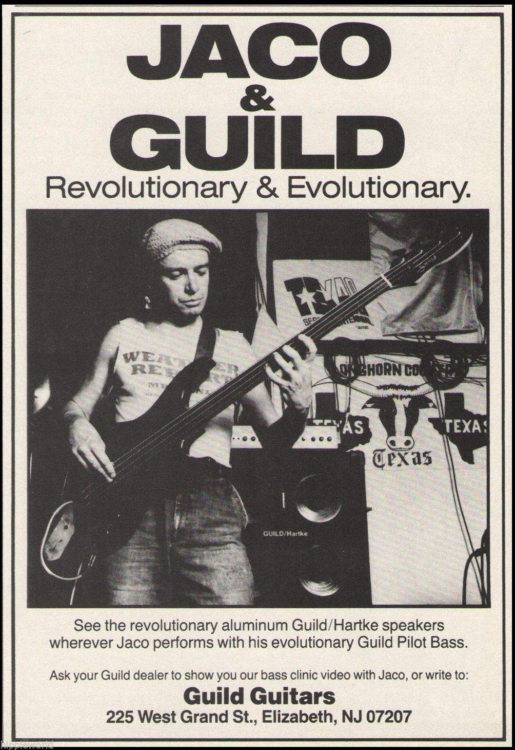 Jaco_and_Guild.jpeg