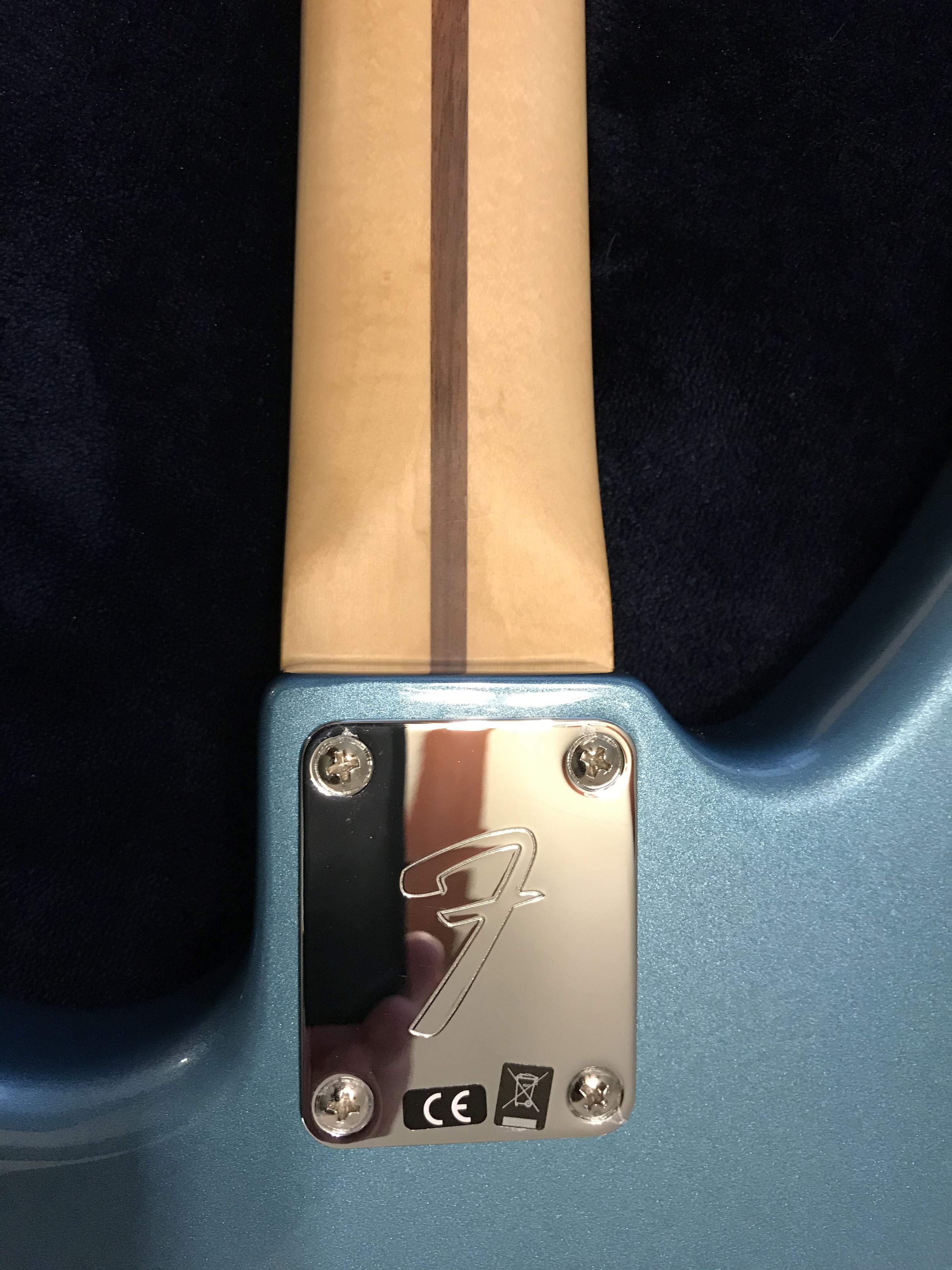 Jaguar Neck plate.jpg