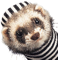 Jailed_Weasel.gif
