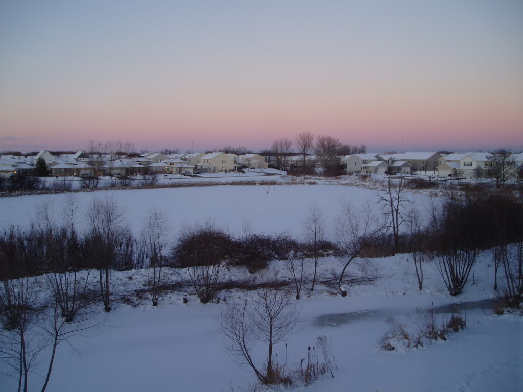Jan312010.jpg