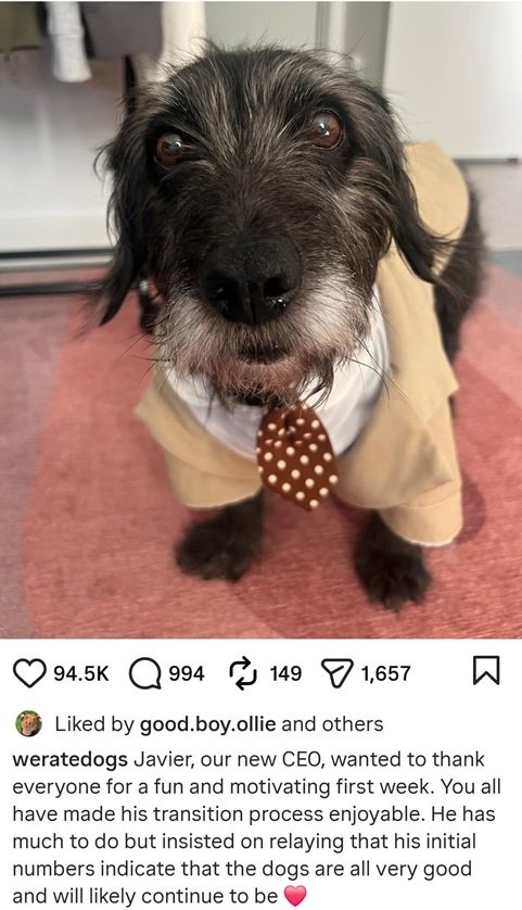 Javier dog.jpg