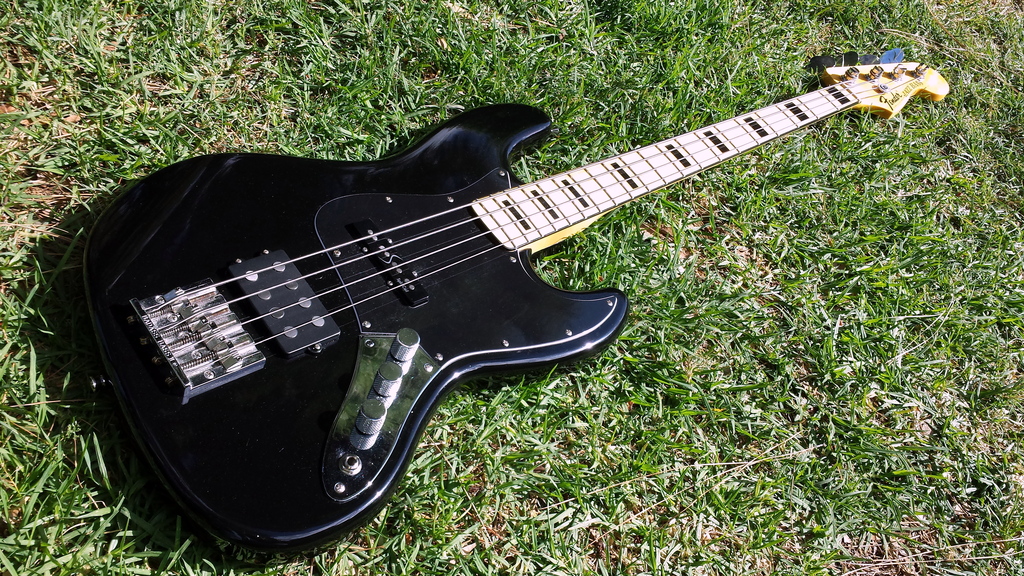 jazz-grass.jpg