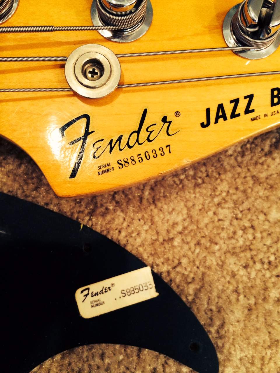 Jazz Pickguard.jpg