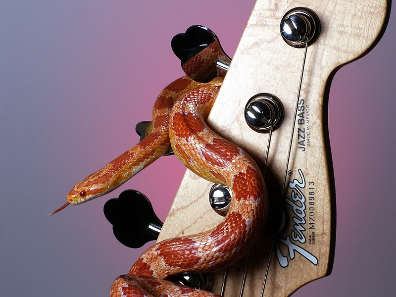 jazzcandy.jpg