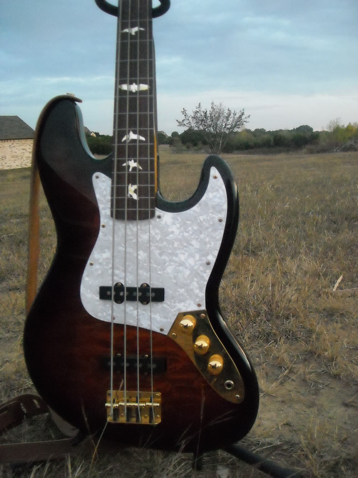 jazzsx001.jpg