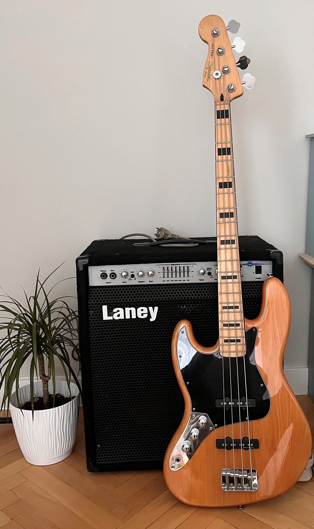 Jbass2.jpg
