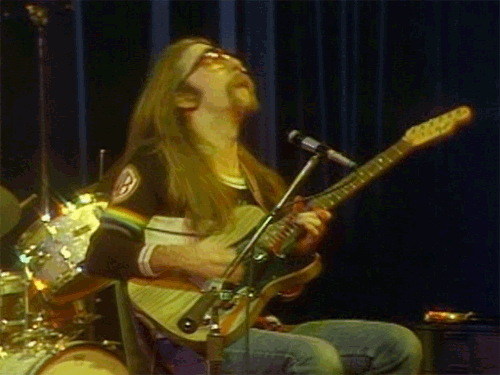 jeffSkunkBaxter3b.gif