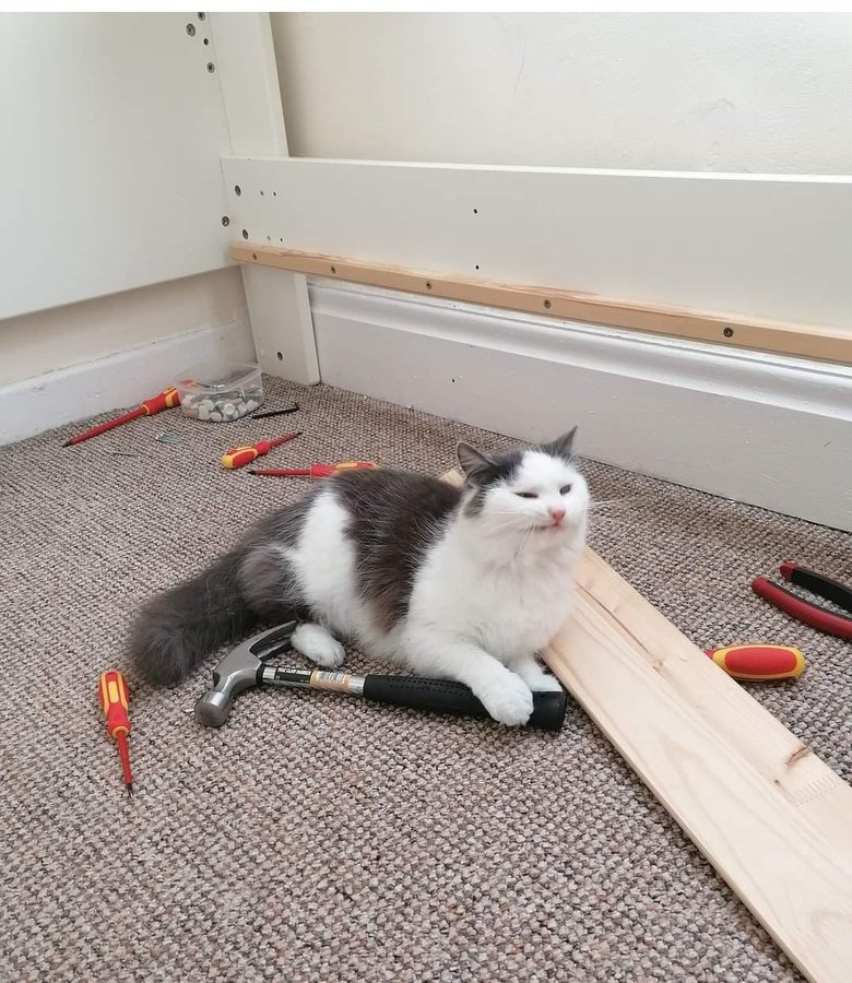 jende.png