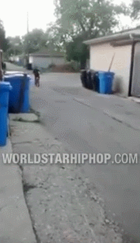 jHBvqOR.gif