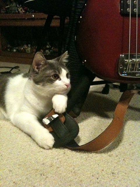 JimmyBass2.jpg