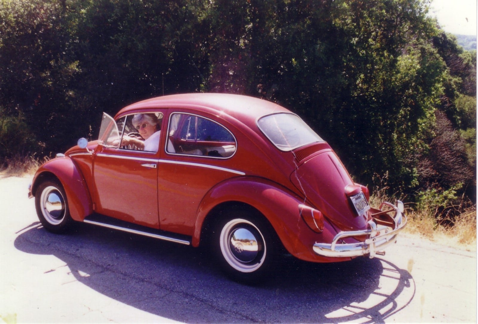 Jim's%20bug2004.jpg