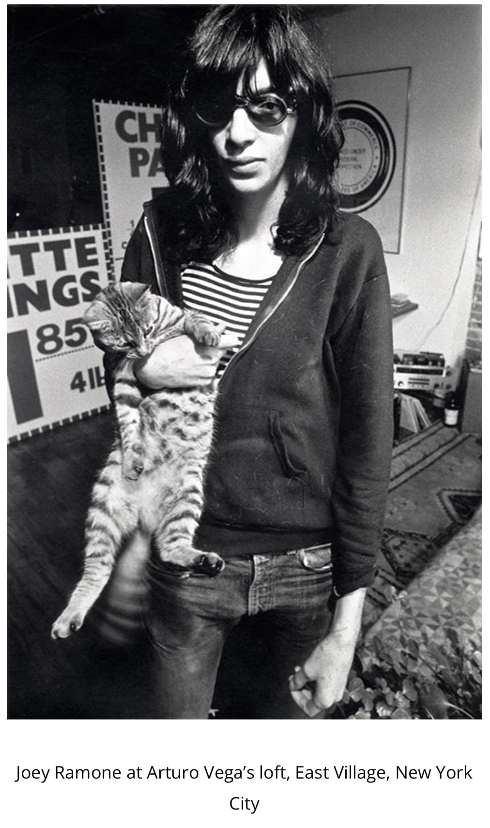 JoeyRamone.jpg