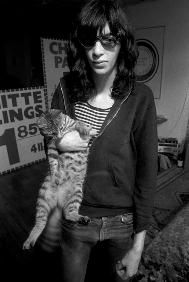 joeyramonewithcat.jpg