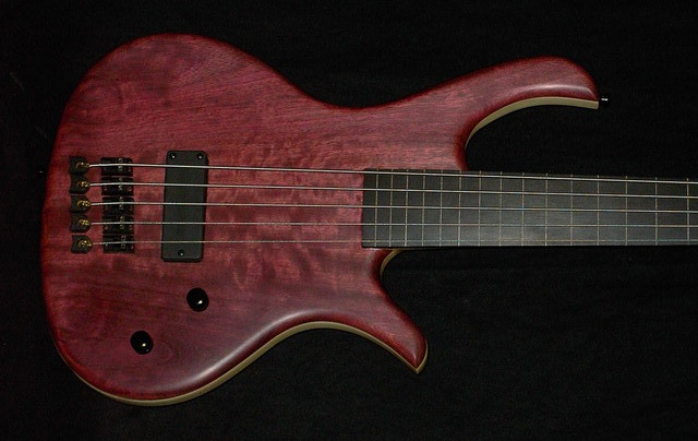 Jonas_Fretless_lined_Fingerboard_Amaranth_Top.sized.jpg