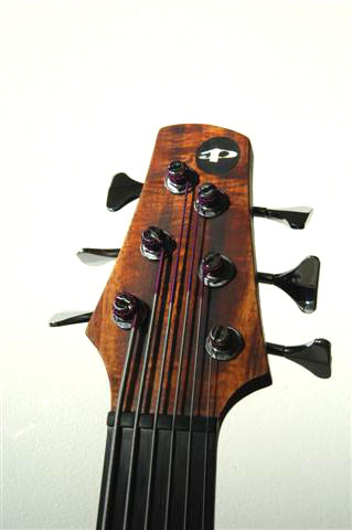 JP_Luciiheadstock.jpg